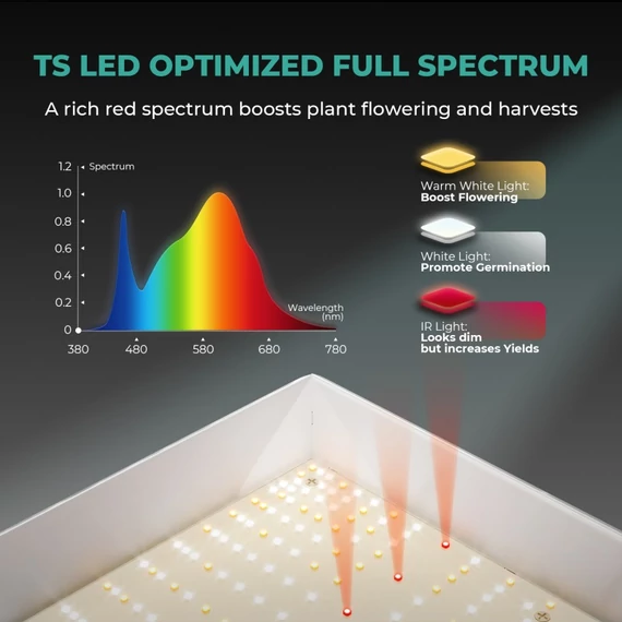Mars Hydro Grow TS600 komplett termesztő szett