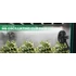 Mars Hydro M6 Grow Tent Clip ventilátor, 6 hüvelykes, automatikusan oszcilláló ventilátor